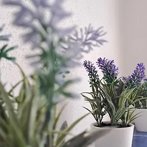 La Tappa Del Vignaiolo Appartamento